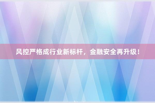风控严格成行业新标杆，金融安全再升级！