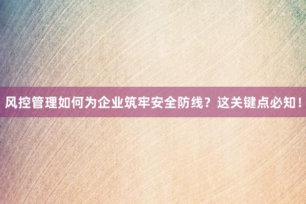 风控管理如何为企业筑牢安全防线？这关键点必知！