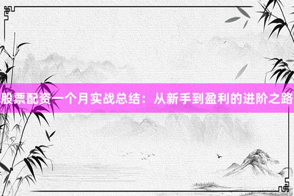 股票配资一个月实战总结：从新手到盈利的进阶之路