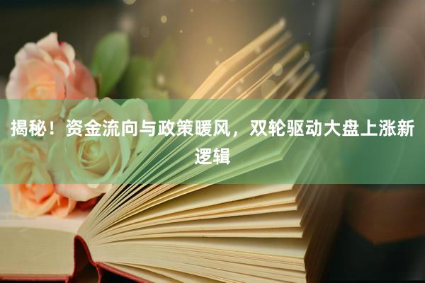 揭秘！资金流向与政策暖风，双轮驱动大盘上涨新逻辑