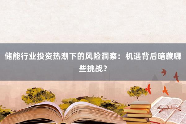 储能行业投资热潮下的风险洞察：机遇背后暗藏哪些挑战？