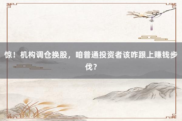 惊！机构调仓换股，咱普通投资者该咋跟上赚钱步伐？