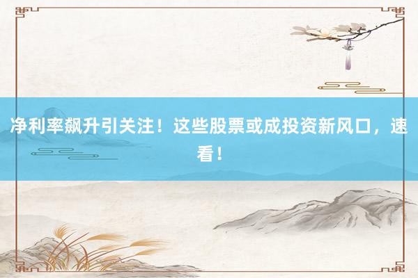 净利率飙升引关注！这些股票或成投资新风口，速看！