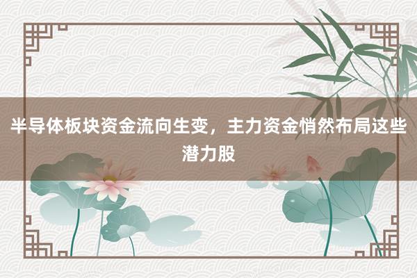 半导体板块资金流向生变，主力资金悄然布局这些潜力股