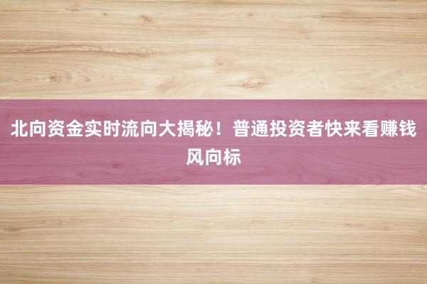 北向资金实时流向大揭秘！普通投资者快来看赚钱风向标
