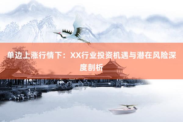 单边上涨行情下：XX行业投资机遇与潜在风险深度剖析