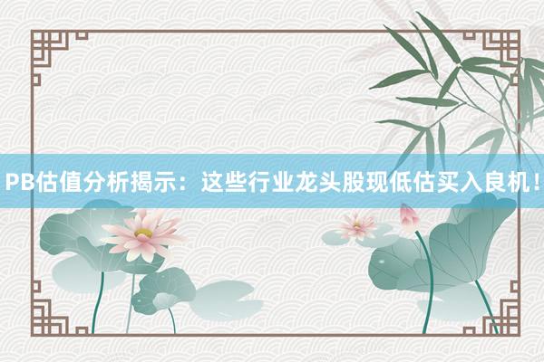 PB估值分析揭示：这些行业龙头股现低估买入良机！
