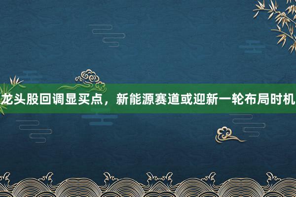 龙头股回调显买点，新能源赛道或迎新一轮布局时机
