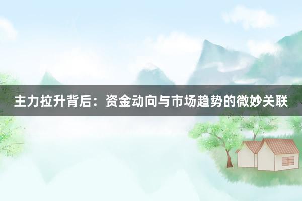 主力拉升背后：资金动向与市场趋势的微妙关联