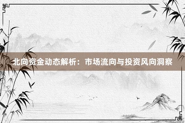 北向资金动态解析：市场流向与投资风向洞察
