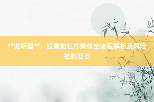 **说明型**：股票加杠杆操作全流程解析及风险控制要点