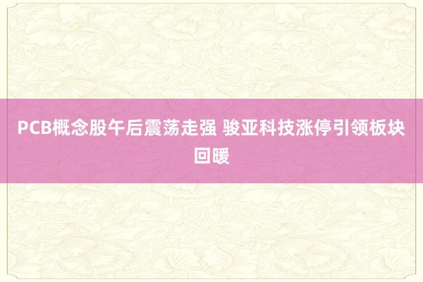 PCB概念股午后震荡走强 骏亚科技涨停引领板块回暖
