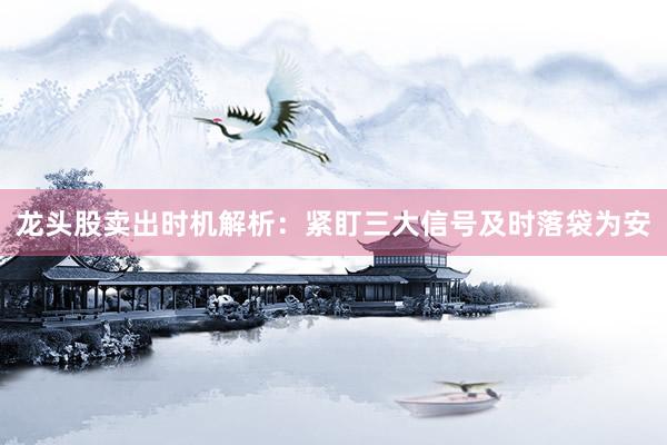 龙头股卖出时机解析：紧盯三大信号及时落袋为安